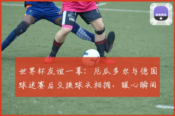 世界杯友谊一幕:厄瓜多尔与德国球迷赛后交换球衣相拥,暖心瞬间诠释足球魅力